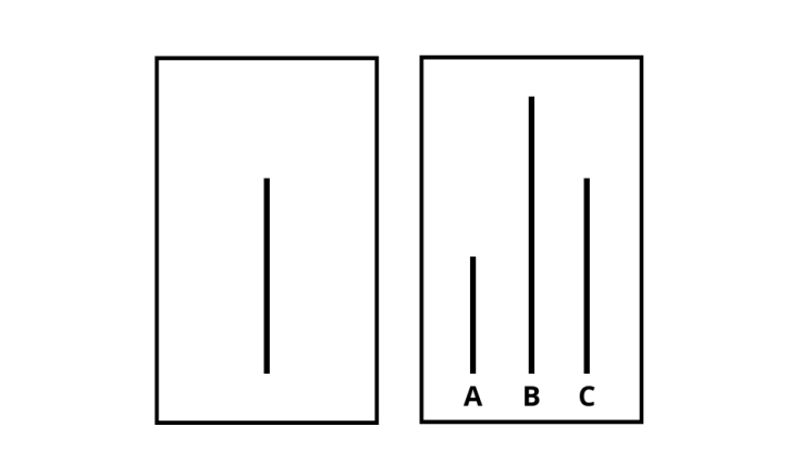 La imagen de la izquierda muestra la línea de referencia y la de la derecha, las tres barras con las que se compara. Vemos claramente cómo la de referencia tiene la misma longitud que la línea C.